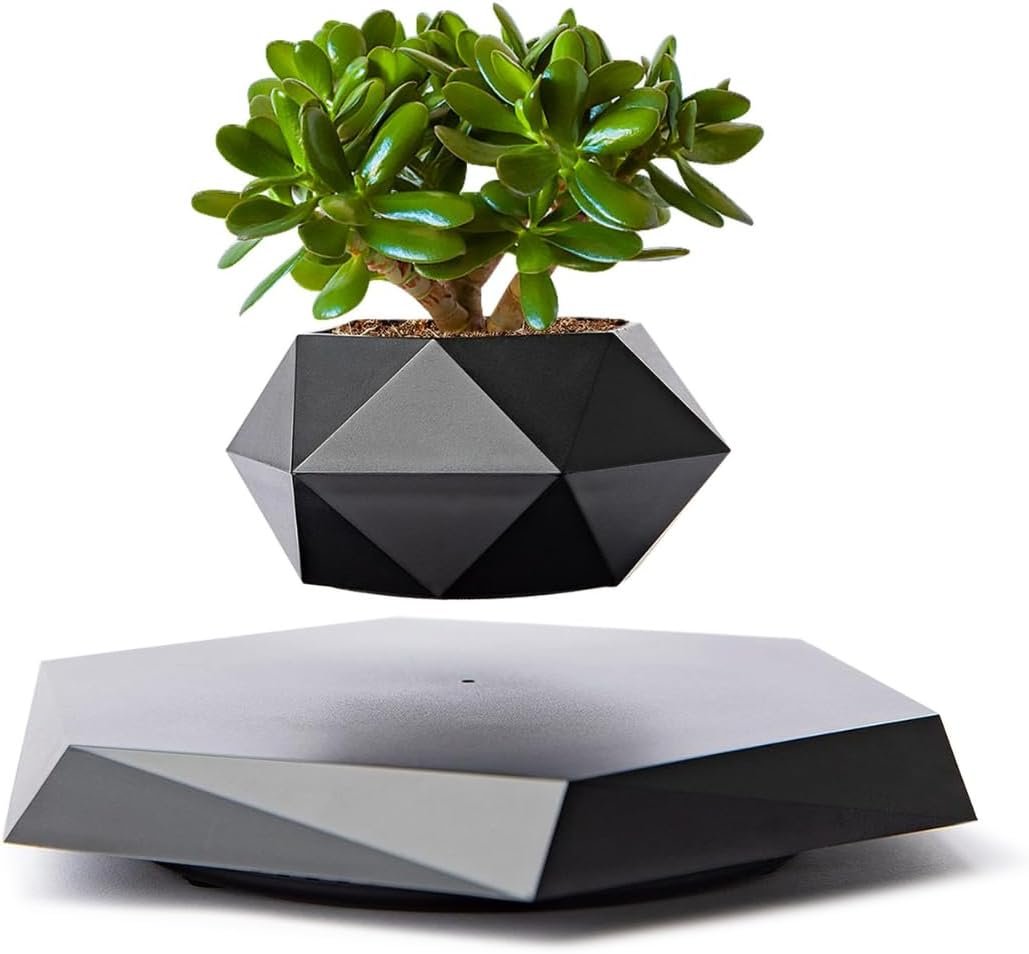 Anti-Gravity Plant Pot