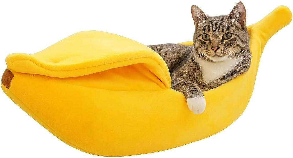Go Bananas For This Bed