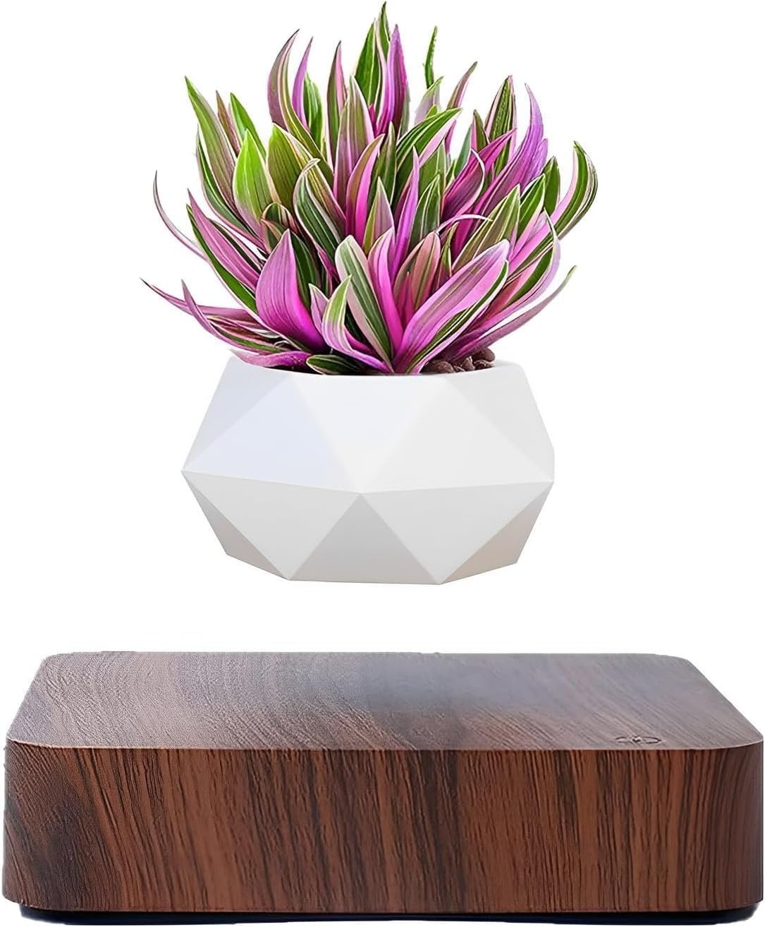 Gravity-Defying Bonsai Pot