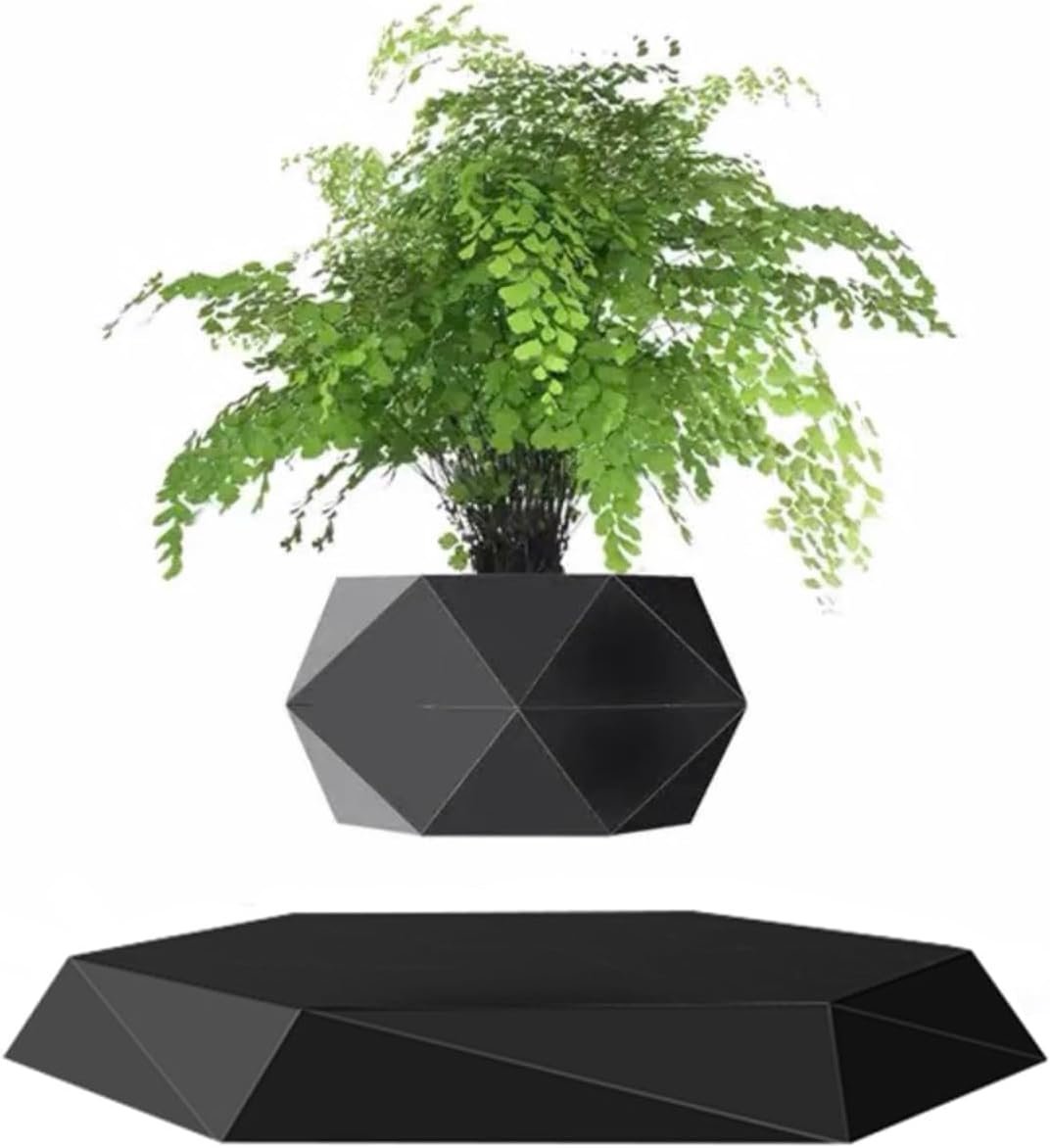Gravity-Defying Hexagon Flower Pot