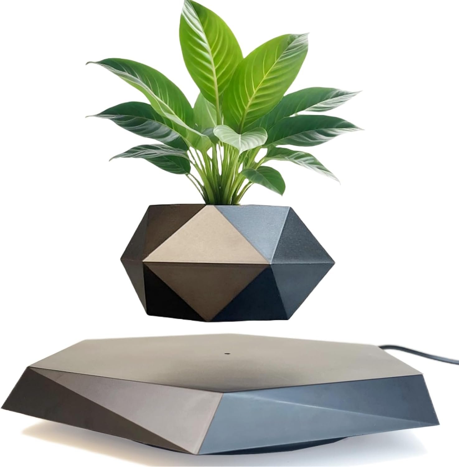 Gravity-Defying Plant Pot