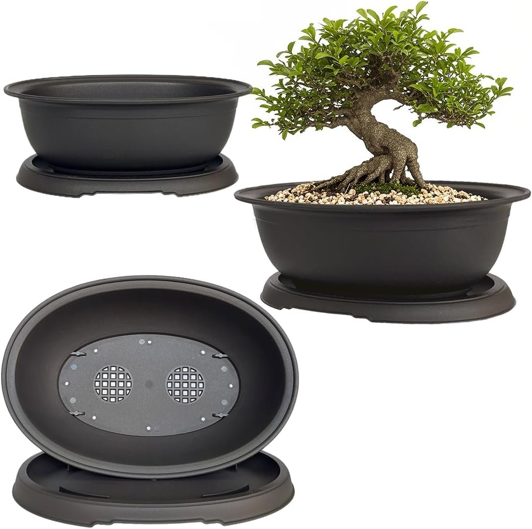 Plastic Perfection for Plants