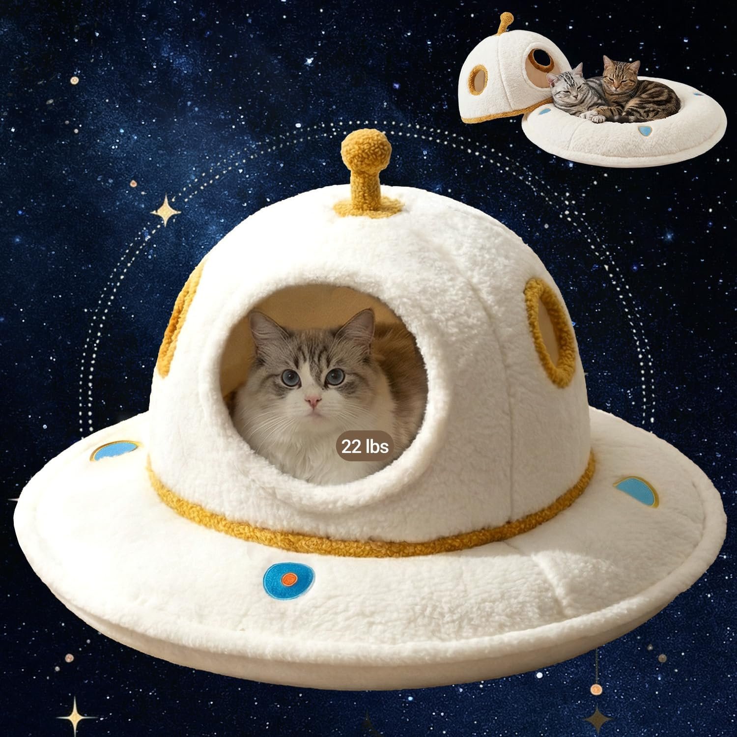 Purr-fect Alien Abode