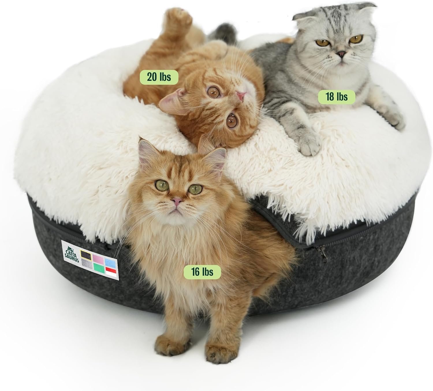 The Ultimate Cat Lair