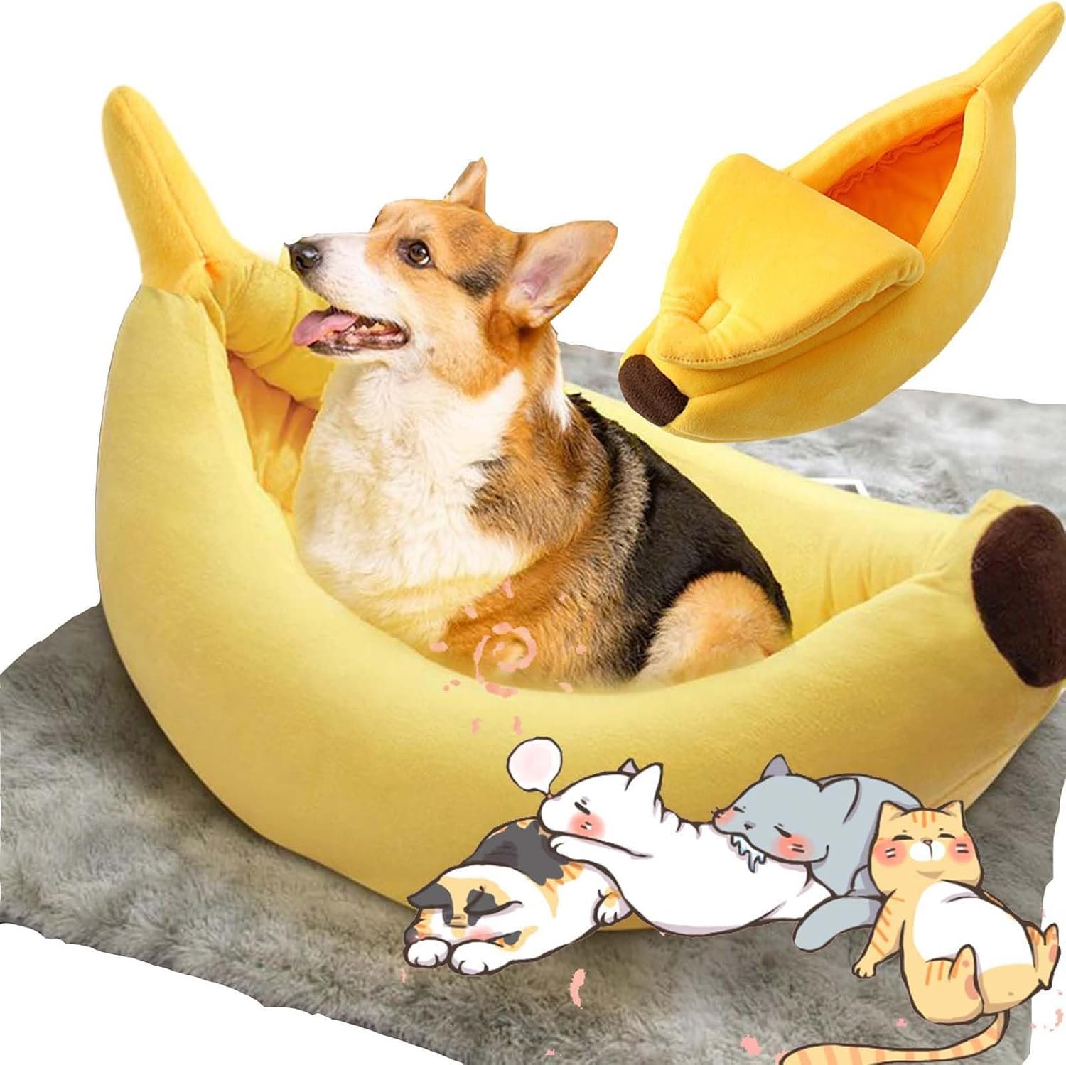 Your Pet's New Peel